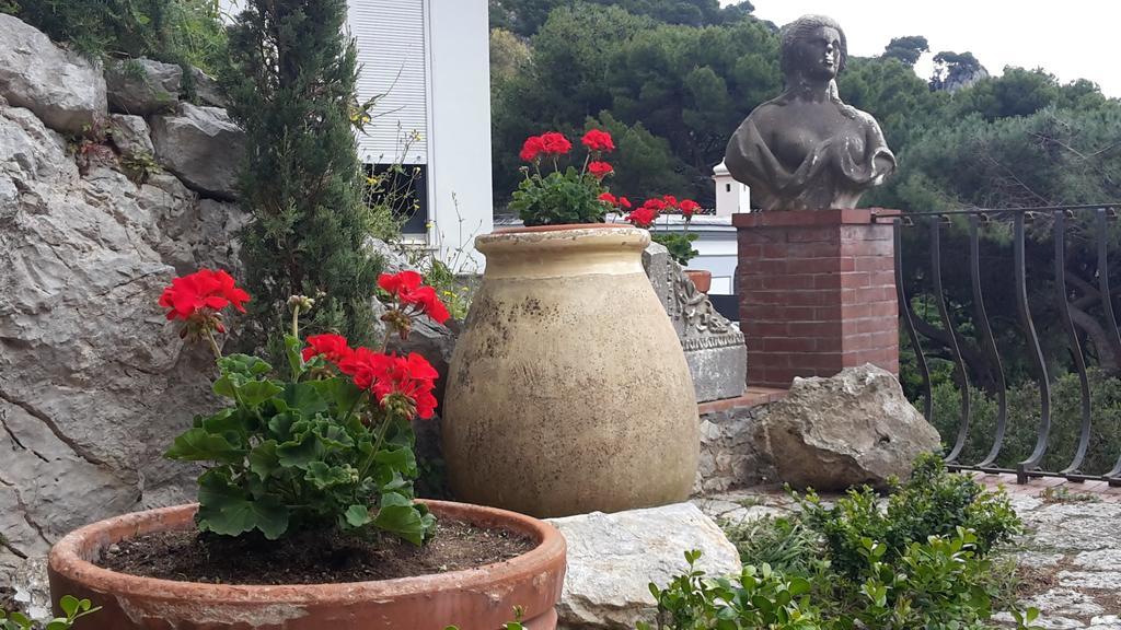 Casa Del Solitario Capri Kültér fotó